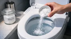 寝る前に重曹と塩を入れるだけで朝ラク トイレ掃除の新習慣