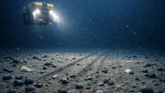 深海採鉱で何が起きる？マンガンノジュール海域で生物が37%減った調査結果